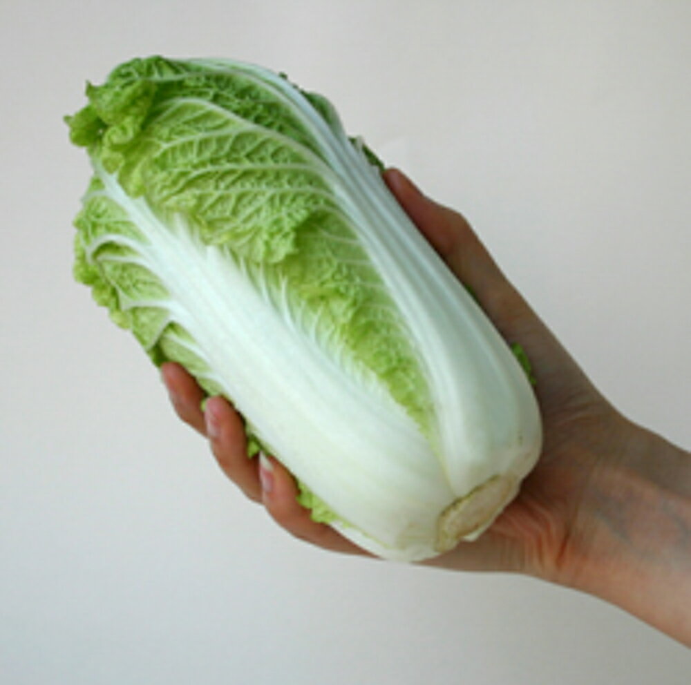 �����ڽս��� 5000γ(������) ��� �ϥ����� �Ϥ����� ��������� �ڥȥ��� �� ���� ���ۡ͡��̾�5�� 5�ΤĤ����ϥݥ����10�ܡ�