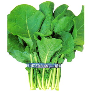 千宝菜1号 2dl 千宝菜 センポウサイ せんぽうさい ダイヤ交配 【トキタ 種 たね タネ】【通常5倍 5のつく日はポイント10倍】