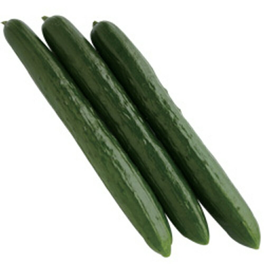 樂天商城 - つやみどり 350粒 胡瓜 キュウリ きゅうりつやみどり 350粒 ダイヤ交配 【トキタ 種 たね タネ】【通常5倍 5のつく日はポイント10倍】