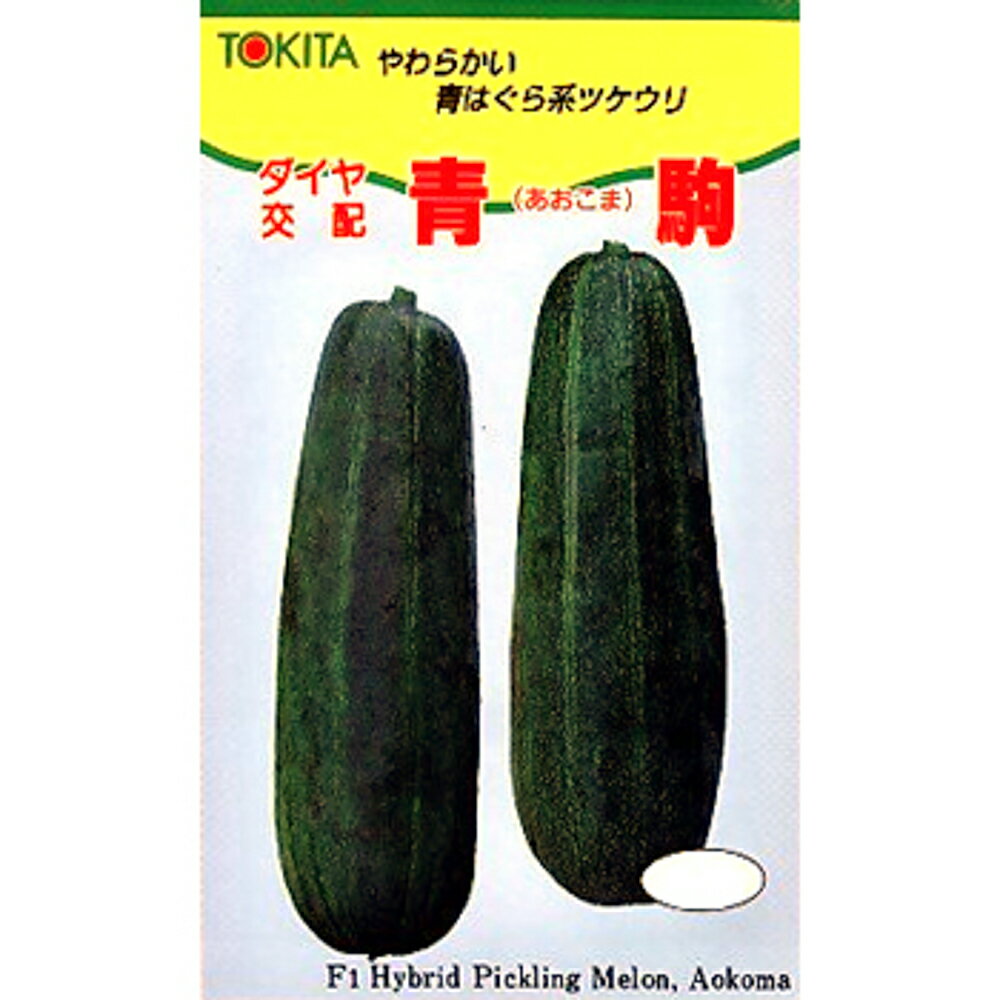 早生、果肉が軟らかいF1。ハウス〜抑制栽培。