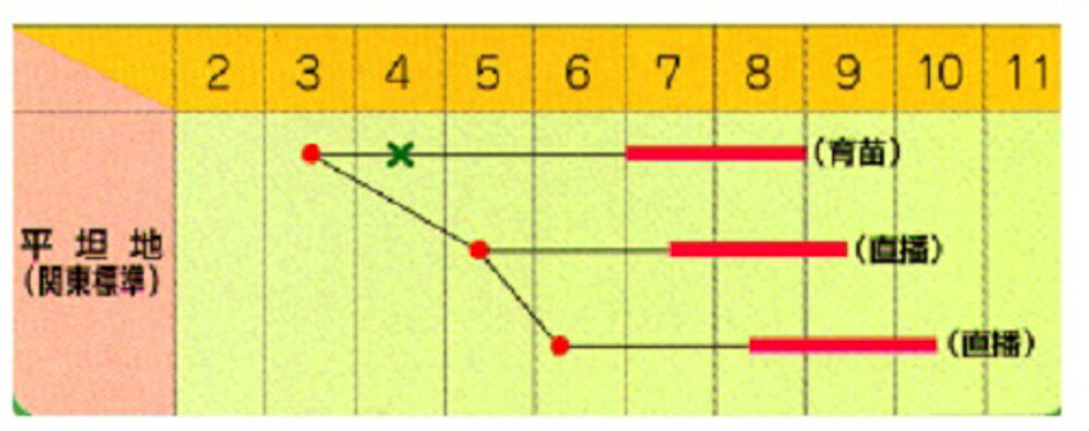 �ĤϤ��� 1L ���� ���� ���ڥȥ��� �� ���� ���ۡ͡��̾�5�� 5�ΤĤ����ϥݥ����10�ܡ�