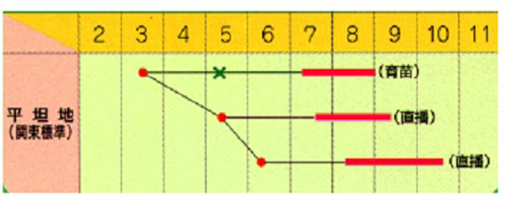 ��Ϥ��� 1L ���� ���� ���ڥȥ��� �� ���� ���ۡ͡��̾�5�� 5�ΤĤ����ϥݥ����10�ܡ�