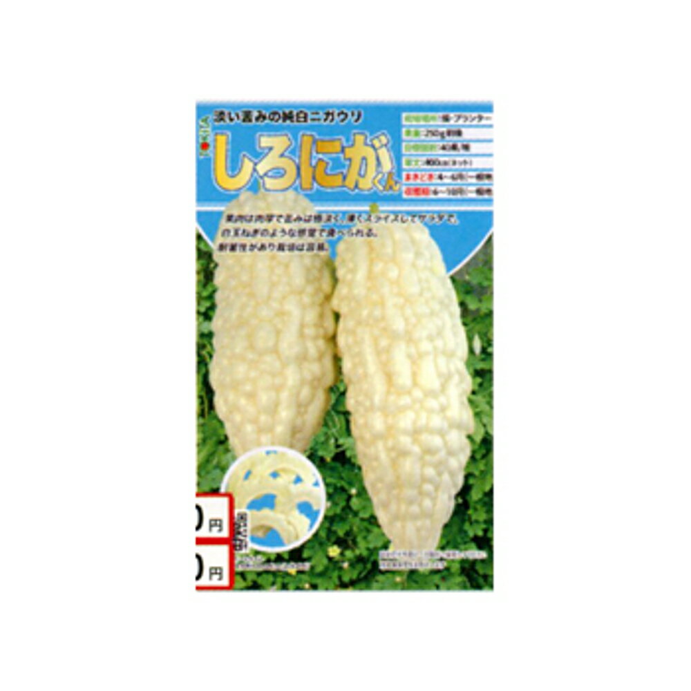 乐天商城 - しろにがくん 100粒 ニガウリ にがうり 苦瓜 ダイヤ交配 【トキタ 種 たね タネ】【通常5倍 5のつく日はポイント10倍】
