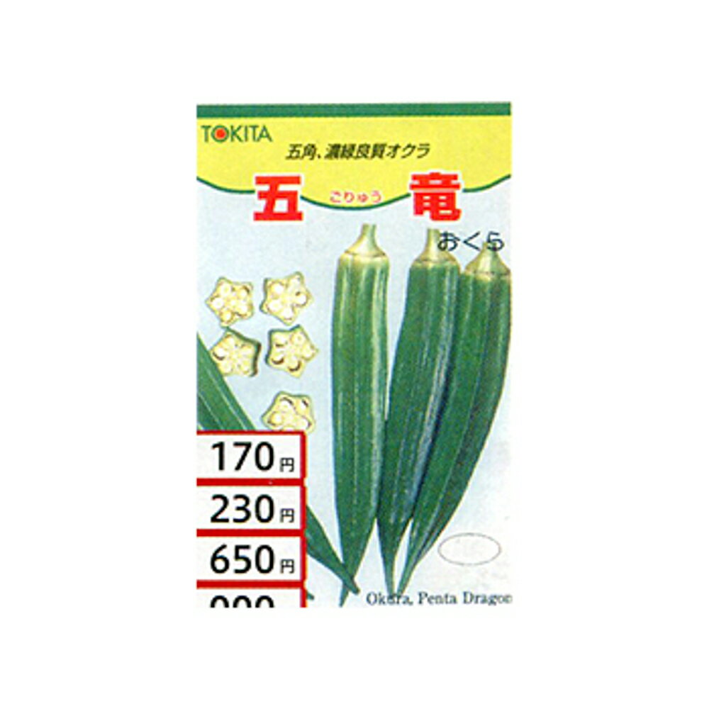 五竜 1L オクラ おくら 【トキタ 種 たね タネ】【通常5倍 5のつく日はポイント10倍】