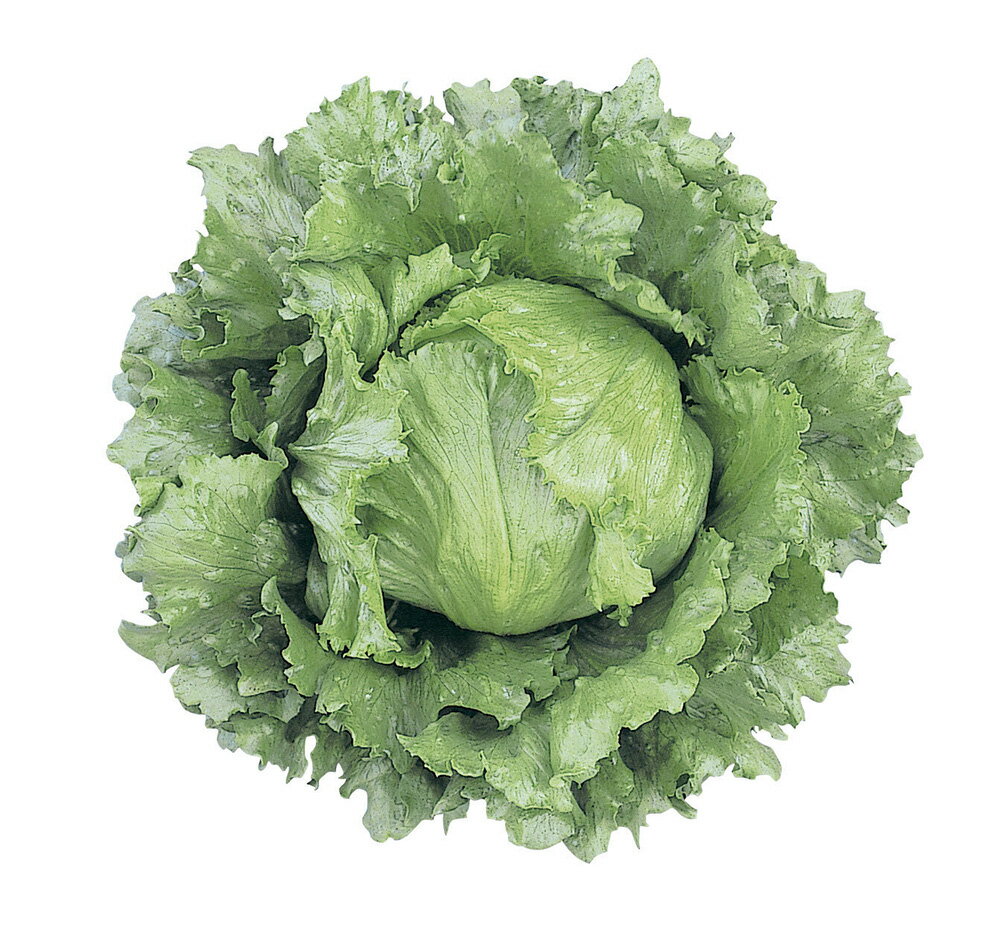 ���˥� L������5000γ �쥿���ڥĥ륿�Υ��� �� ���� ���� �ۡ��̾�5�� 5�ΤĤ����ϥݥ����10���оݳ����ʥݥ����3�ܸ��꾦�ʡ�