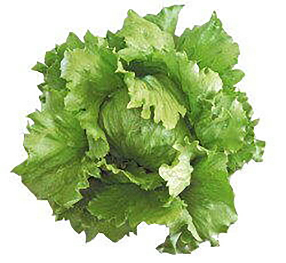 �ե������إåɥ��饹 L������5000γ �쥿���ڥĥ륿�Υ��� �� ���� ���� �ۡ��̾�5�� 5�ΤĤ����ϥݥ����10���оݳ����ʥݥ����3�ܸ��꾦�ʡ�