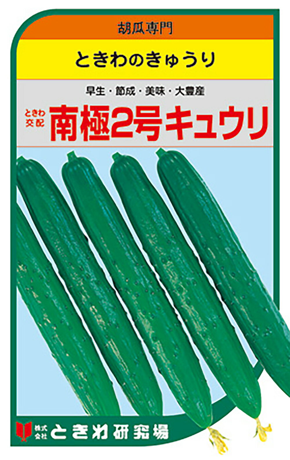 南極2号 350粒 胡瓜 キュウリ きゅうり南極2号 350粒 ときわ交配 【ときわ研究所 種 たね タネ】【通常5倍 5のつく日はポイント10倍】