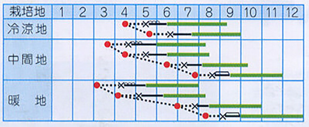 �Ƥε� 20ml �ձ� ���奦�� ���夦�� �ڥ�����ޥ����� �� ���� ���� �ۡ��̾�5�� 5�ΤĤ����ϥݥ����10�ܡ�