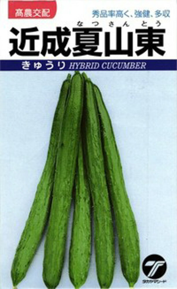 樂天商城 - 近成夏山東 20ml 胡瓜 キュウリ きゅうり 【タカヤマシード 種 たね タネ 】【通常5倍 5のつく日はポイント10倍】
