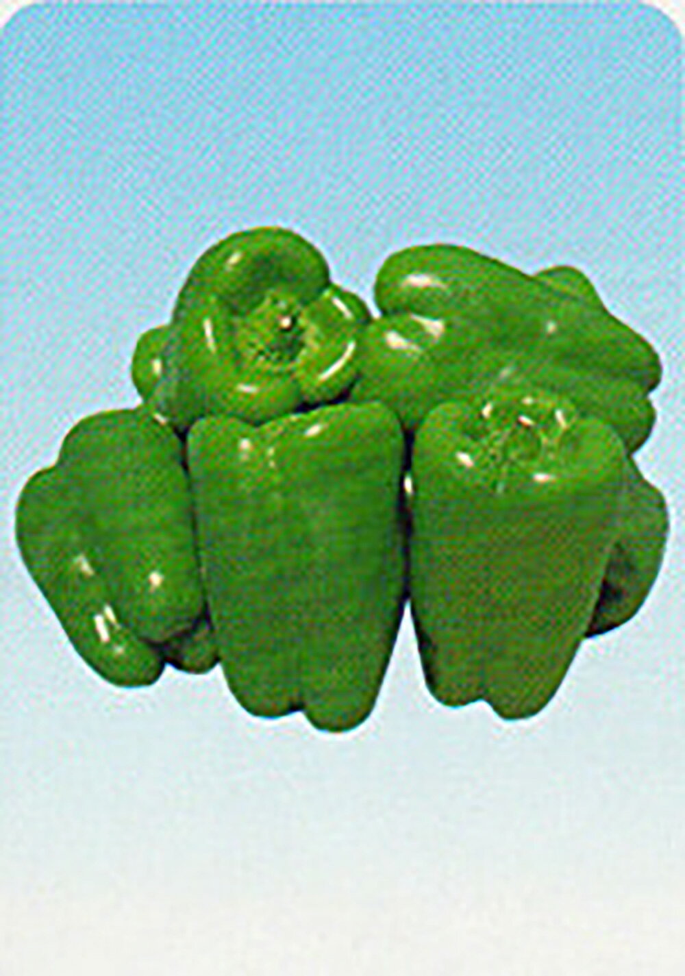 豊年みどり二号 20ml ピーマン ぴーまん【タカヤマシード 種 たね タネ 】【通常5倍 5のつく日はポイント10倍】