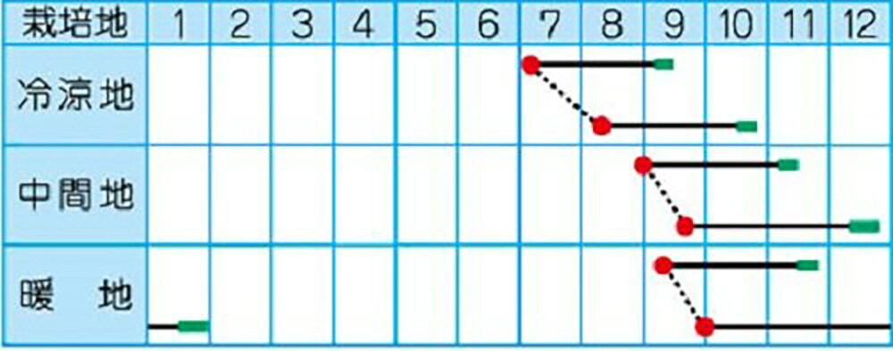 冬仕立 2dl 大根 ダイコン だいこん【タカヤマシード 種 たね タネ 】【通常5倍 5...