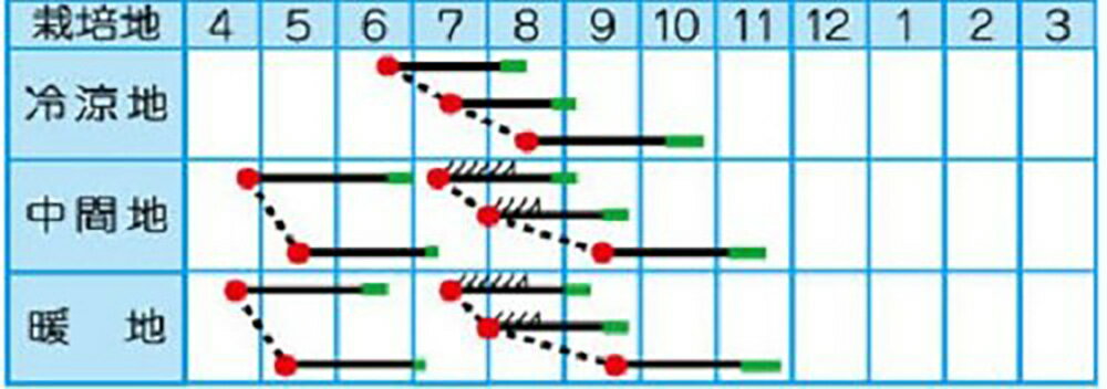 �Ƽ��ߤΤ碌 2dl �纬 �������� ��������ڥ�����ޥ����� �� ���� ���� �ۡ��̾�5�� 5�ΤĤ����ϥݥ����10�ܡ�