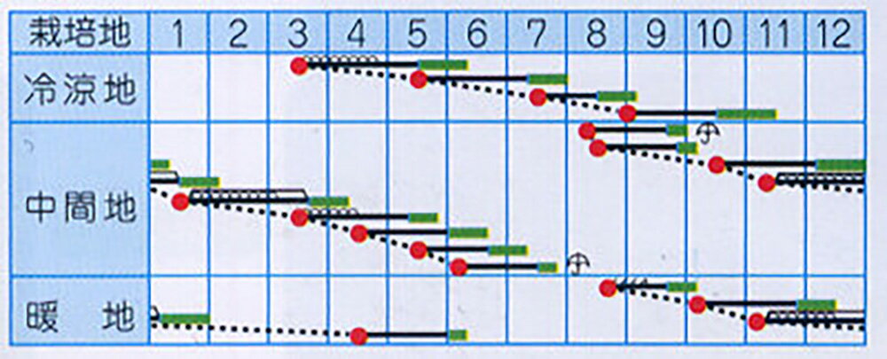 ���¶��� 1dl ���� ���� ��ڥ�����ޥ����� �� ���� ���� �ۡ��̾�5�� 5�ΤĤ����ϥݥ����10�ܡ�