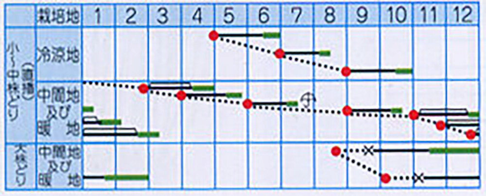 ���ն� 2dl ������ �ߥ֥� �ߤ֤ʡڥ�����ޥ����� �� ���� ���� �ۡ��̾�5�� 5�ΤĤ����ϥݥ����10�ܡ�