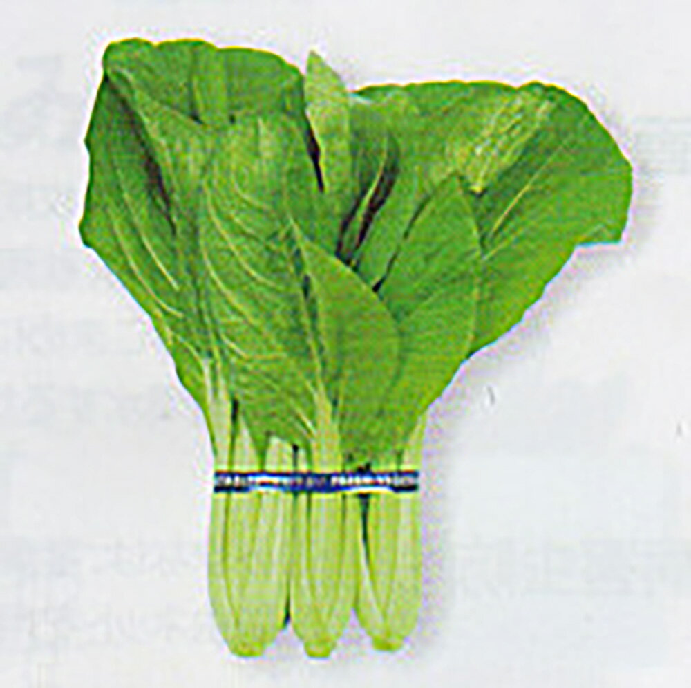 優愛菜 2dl 漬け菜 ツケナ つけな【タカヤマシード 種 たね タネ 】【通常5倍 5のつく日はポイント10倍】