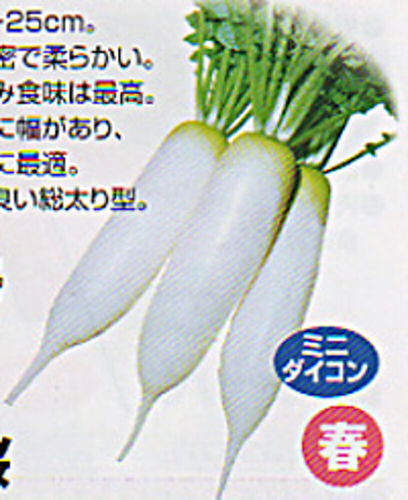 収穫期間に幅があり、家庭菜園に最適。