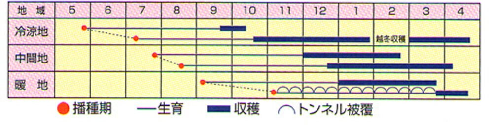 �٤ˤ����� 1L �˥󥸥� �ˤ󤸤� �ͻ� ���ո��� ���������� �� ���� ���� �ۡ��̾�5�� 5�ΤĤ����ϥݥ����10���оݳ����ʥݥ����3�ܸ��꾦�ʡ�