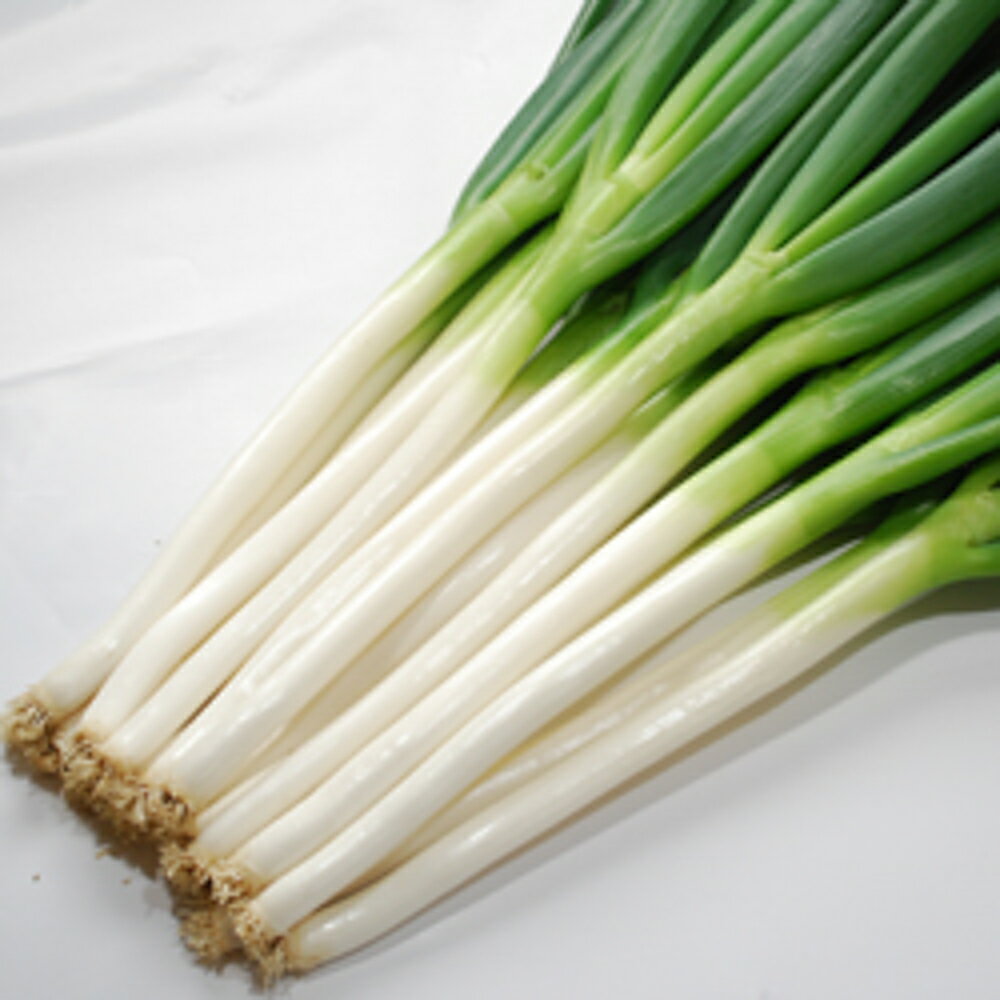 肥大性、耐暑耐寒性に優れ、適応幅が広く多収となる一代交配種