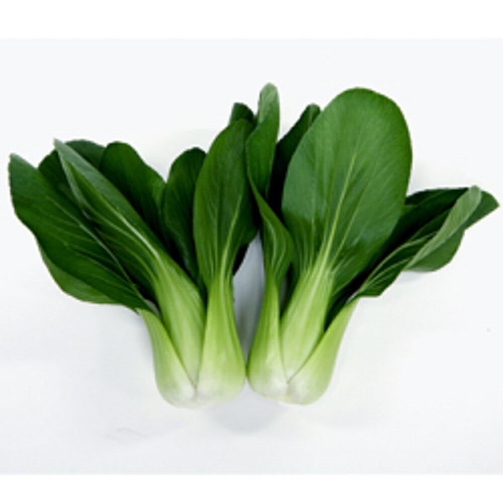 ニイハオ三夏 裸種子5000粒 青梗菜 チンゲン菜 チンゲンサイ ちんげんさい 渡辺交配 【渡辺農事 種 たね タネ 】【通常5倍 5のつく日はポイント10倍対象外商品ポイント3倍固定商品】