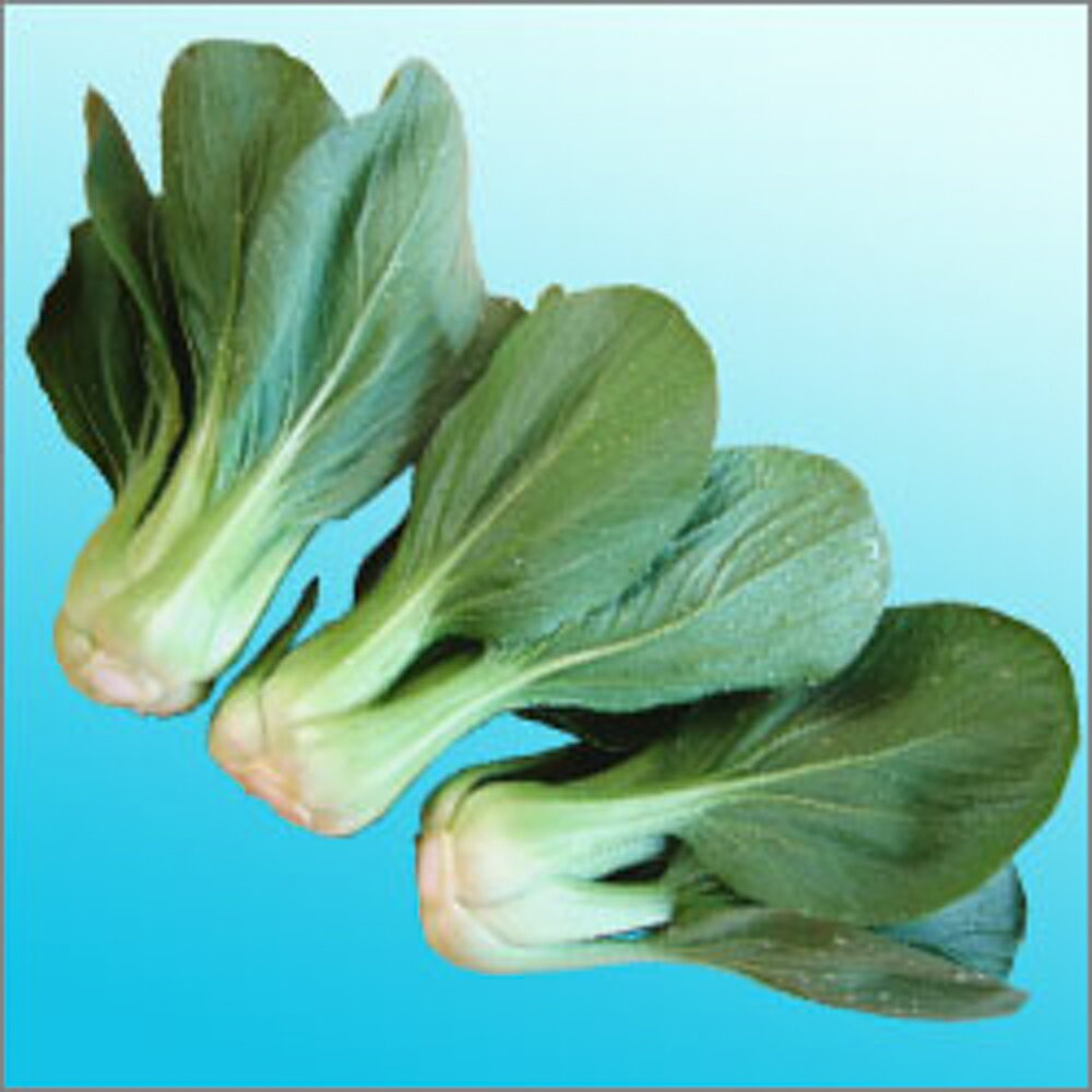 �˥��ϥ�4�� ������5000γ �Ĺ��� ���󥲥�� ���󥲥󥵥� ���󤲤󤵤� ���ո��� ���������� �� ���� ���� �ۡ��̾�5�� 5�ΤĤ����ϥݥ����10����...