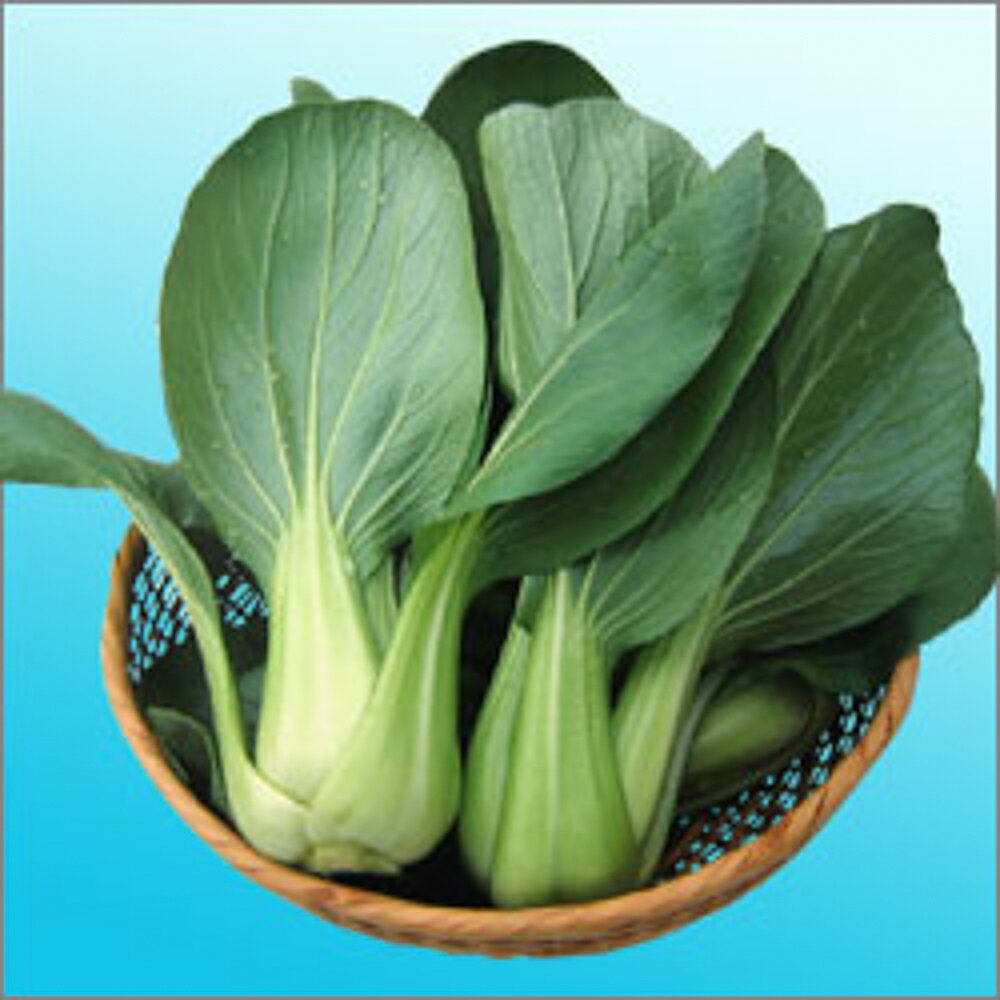 �˥��ϥ�������� ������5000γ �Ĺ��� ���󥲥�� ���󥲥󥵥� ���󤲤󤵤� ���ո��� ���������� �� ���� ���� �ۡ��̾�5�� 5�ΤĤ����ϥݥ����10...