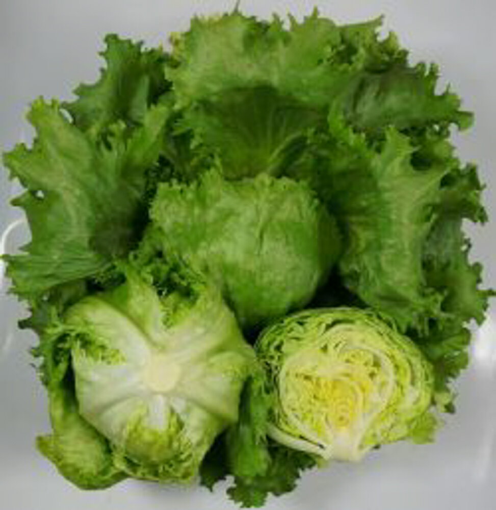 �ե�å��奢���� PVP ������5000γ �쥿������������ �� ���� ���� �ۡ��̾�5�� 5�ΤĤ����ϥݥ����10���оݳ����ʥݥ����3�ܸ��꾦�ʡ�