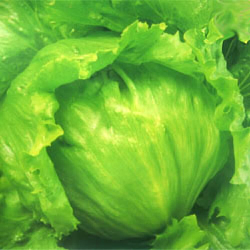 ���ѡ���(�����ܤ��ڸ��￳���� 1�����̾޼���) ������5000γ �쥿������������ �� ���� ���� �ۡ��̾�5�� 5�ΤĤ����ϥݥ����10���оݳ����ʥݥ����...