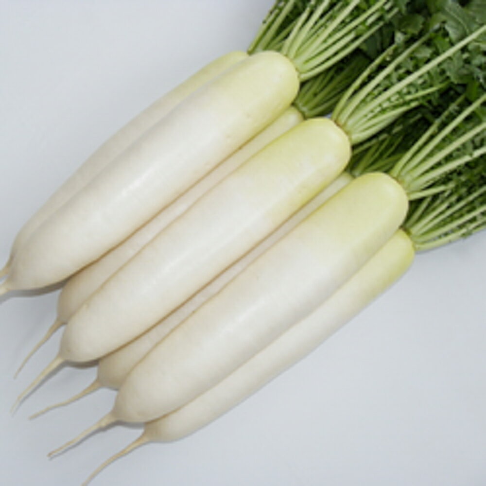 �պ̸� ������5000γ �纬 �������� �������� ���ո��ۡ��ð¿��θ�������åסá��������� �� ���� ���� �ۡ��̾�5�� 5�ΤĤ����ϥݥ����10�ܡ�