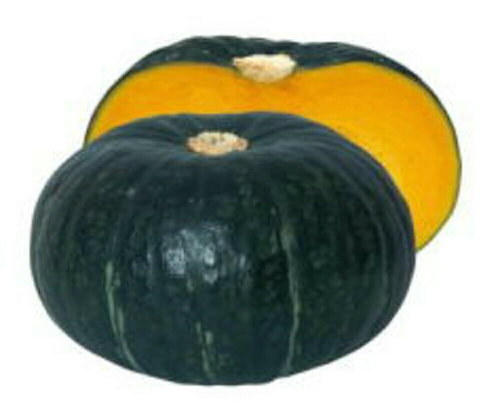 栗政宗 500粒 南瓜 カボチャ かぼちゃ【渡辺採種場 種 たね タネ 】【通常5倍 5のつく日はポイント10倍】