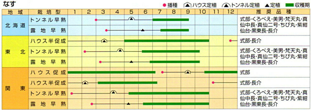 紫紺仙台長 20ml ナス なす 茄子【渡辺採種場 種 たね タネ 】【通常5倍 5のつく日...