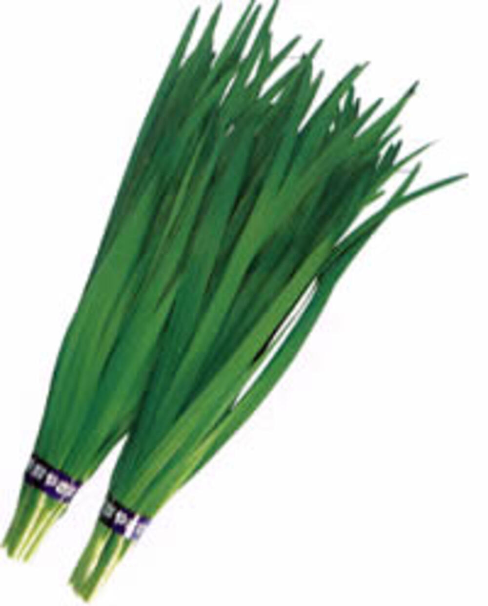 たいりょう 1L 韮 ニラ にら【渡辺採種場 種 たね タネ 】【通常5倍 5のつく日はポイント10倍】