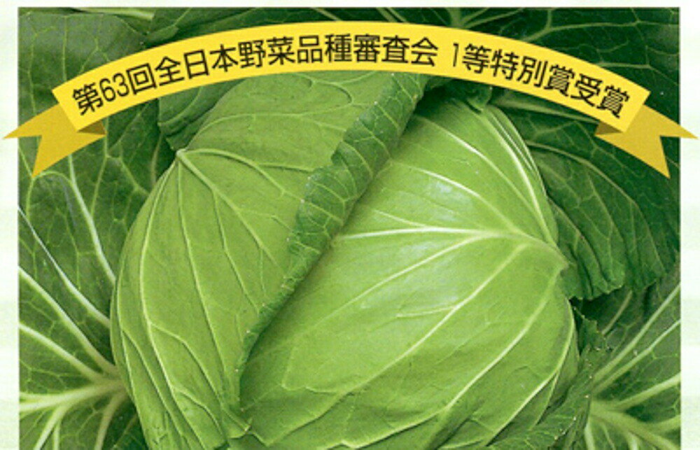 樂天商城 - 祝園 5000粒(L) キャベツ【渡辺採種場 種 たね タネ 】【通常5倍 5のつく日はポイント10倍】