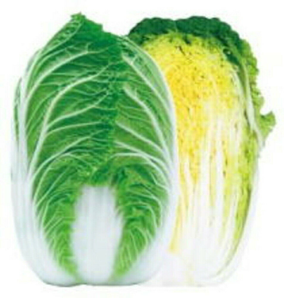 樂天商城 - 夏の祭典 10ml 白菜 ハクサイ はくさい【渡辺採種場 種 たね タネ 】【通常5倍 5のつく日はポイント10倍】