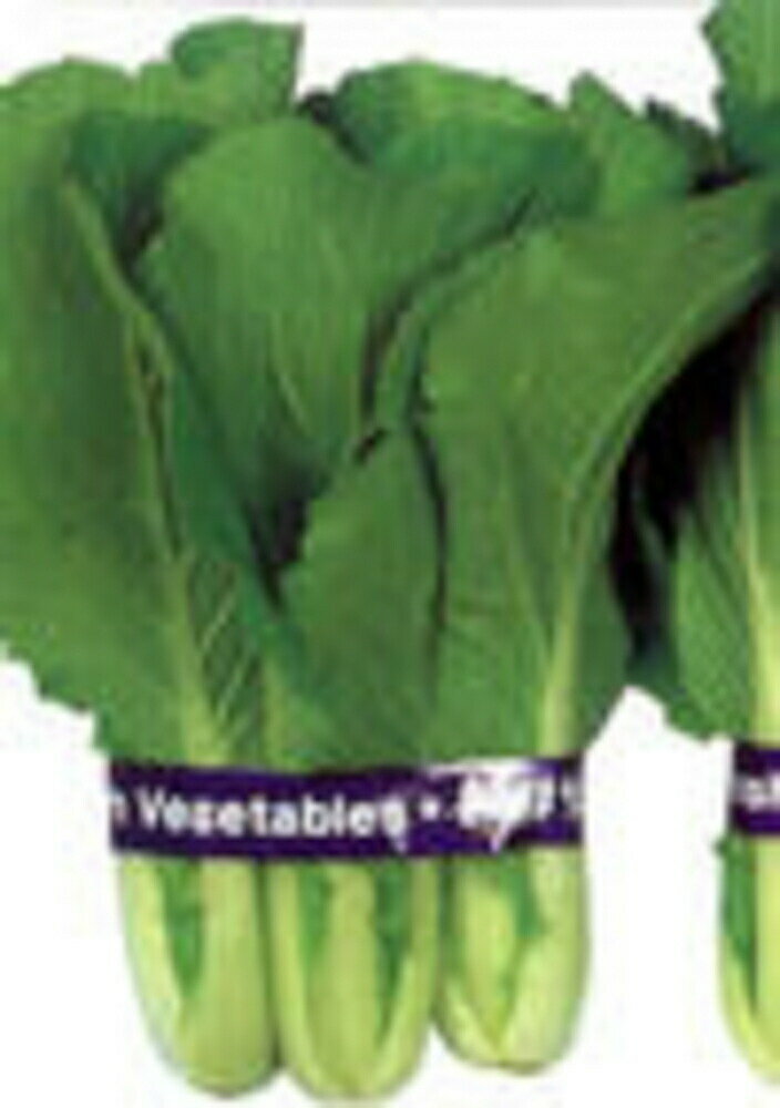 ��ͺ���� ���Ф� 1L ��� �ϥ����� �Ϥ����������պμ�� �� ���� ���� �ۡ��̾�5�� 5�ΤĤ����ϥݥ����10�ܡ�