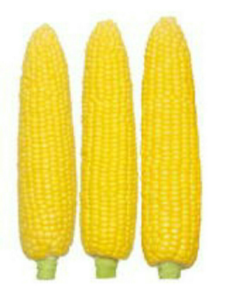 んめぇとみぎ90 2000粒 とうもろこし トウモロコシ 玉蜀黍【渡辺採種場 種 たね タネ 】【通常5倍 5の..