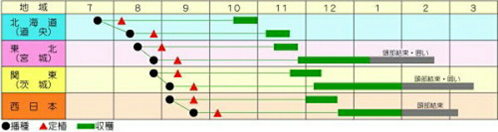 �ߤκ�ŵ 1dl ��� �ϥ����� �Ϥ����������պμ�� �� ���� ���� �ۡ��̾�5�� 5�ΤĤ����ϥݥ����10�ܡ�