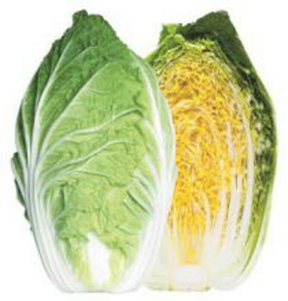黄芯スプリンター 5000粒(L) 白菜 ハクサイ はくさい【渡辺採種場 種 たね タネ 】【通常5倍 5のつく日..