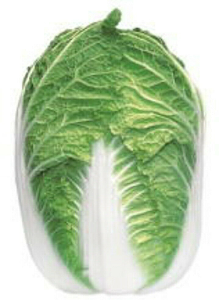 樂天商城 - 新隆徳 5000粒(L) 白菜 ハクサイ はくさい【渡辺採種場 種 たね タネ 】【通常5倍 5のつく日はポイント10倍】