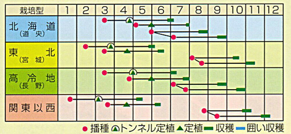 ����65 20ml ��� �ϥ����� �Ϥ����������պμ�� �� ���� ���� �ۡ��̾�5�� 5�ΤĤ����ϥݥ����10�ܡ�