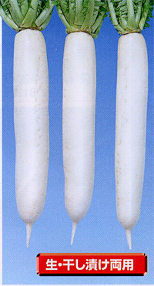 名取理想 2dl 大根 ダイコン だいこん【渡辺採種場 種 たね タネ 】【通常5倍 5のつく日はポイント10倍】