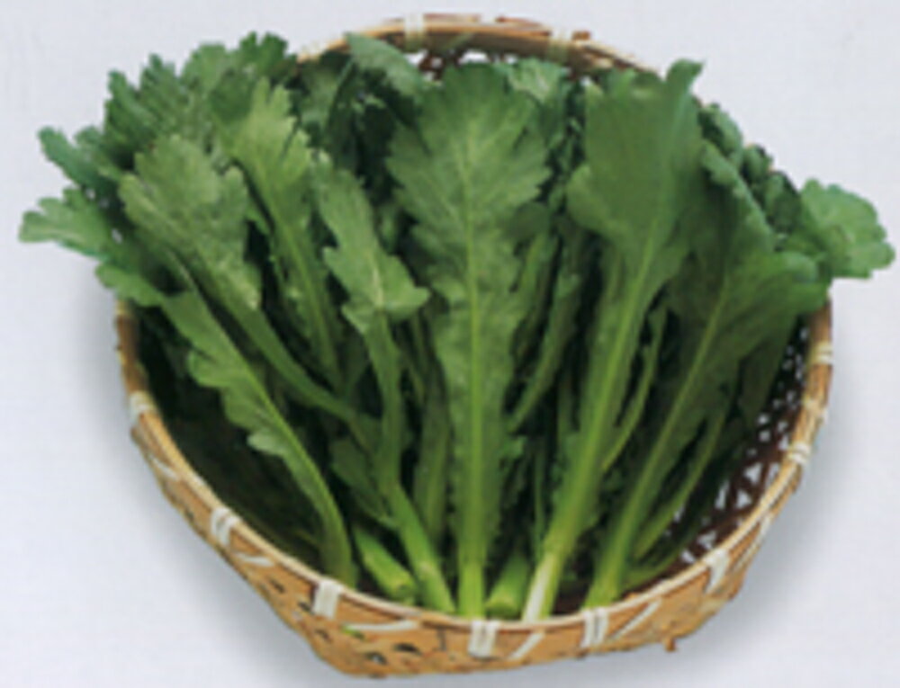 優天 1L袋 春菊 しゅんぎく シュンギク ヤエ育成 【八江農芸 種 たね タネ】【通常5倍 5のつく日はポイント10倍対象外商品ポイント3倍固定商品】