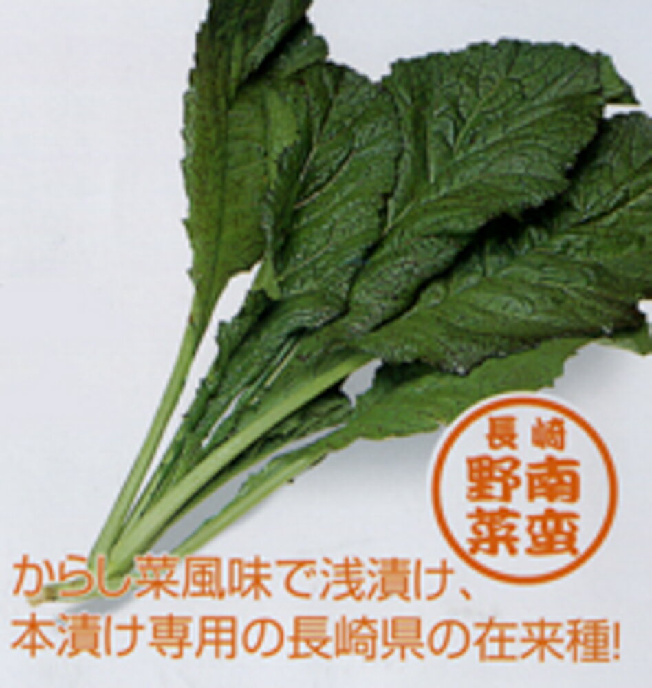本漬け、浅漬けなどに用途があり、葉柄は細くたく葉を有する高菜です。