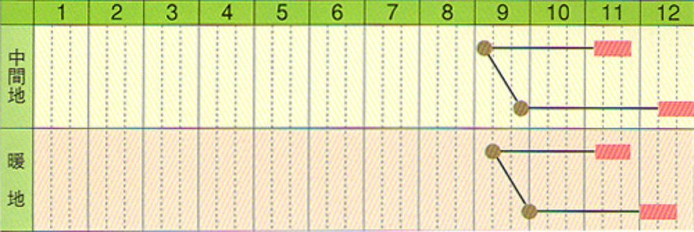 ������ 1dl �纬 �������� �������� �䥨���� ��Ȭ������ �� ���� ���ۡ͡��̾�5�� 5�ΤĤ����ϥݥ����10���оݳ����ʥݥ����3�ܸ��꾦�ʡ�