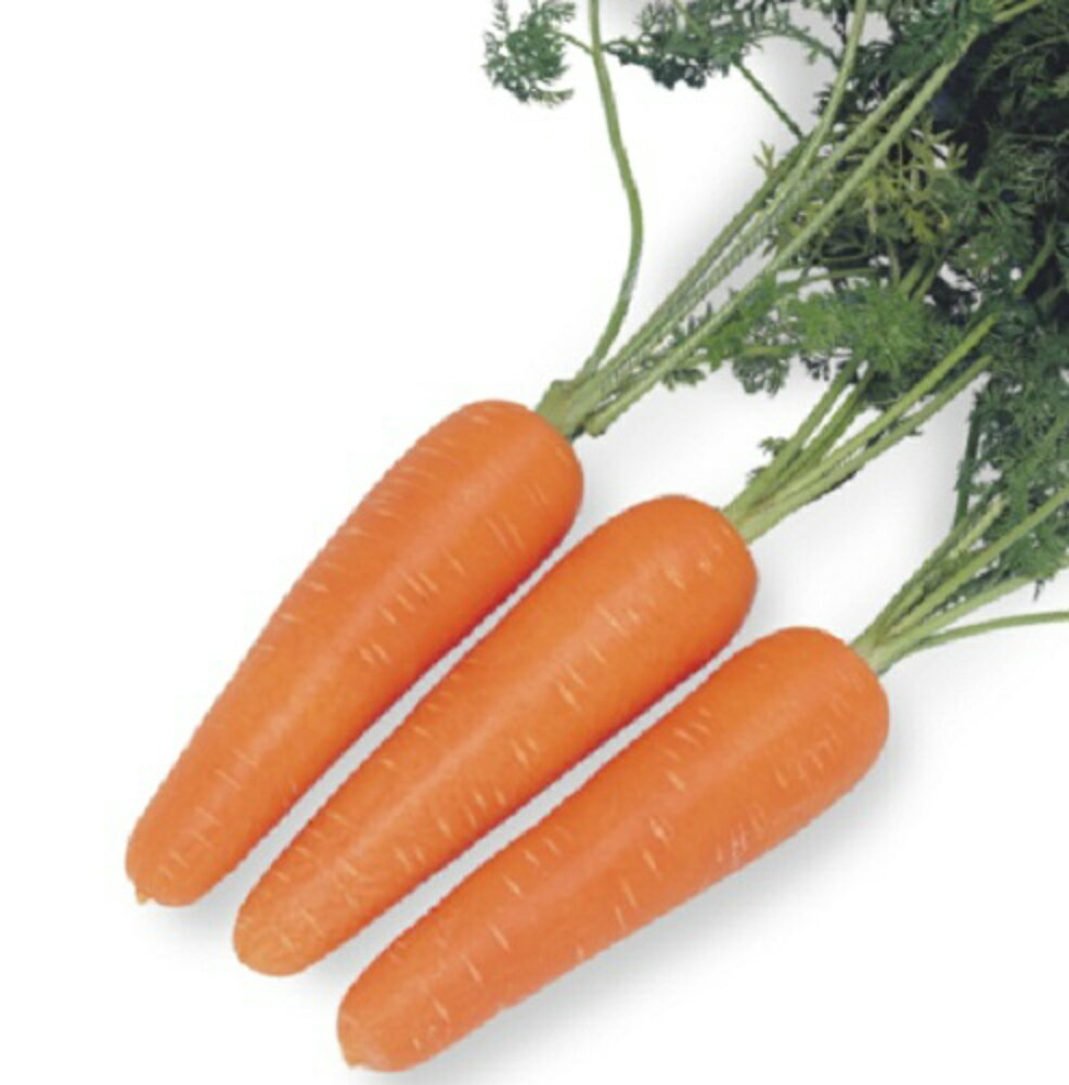 �Ĥ�٤�110 10000γ�ʥ�����L�� �˥󥸥� �ˤ󤸤� �ͻ� �䥨���� ��Ȭ������ �� ���� ���ۡ͡��̾�5�� 5�ΤĤ����ϥݥ����10���оݳ����ʥݥ���...