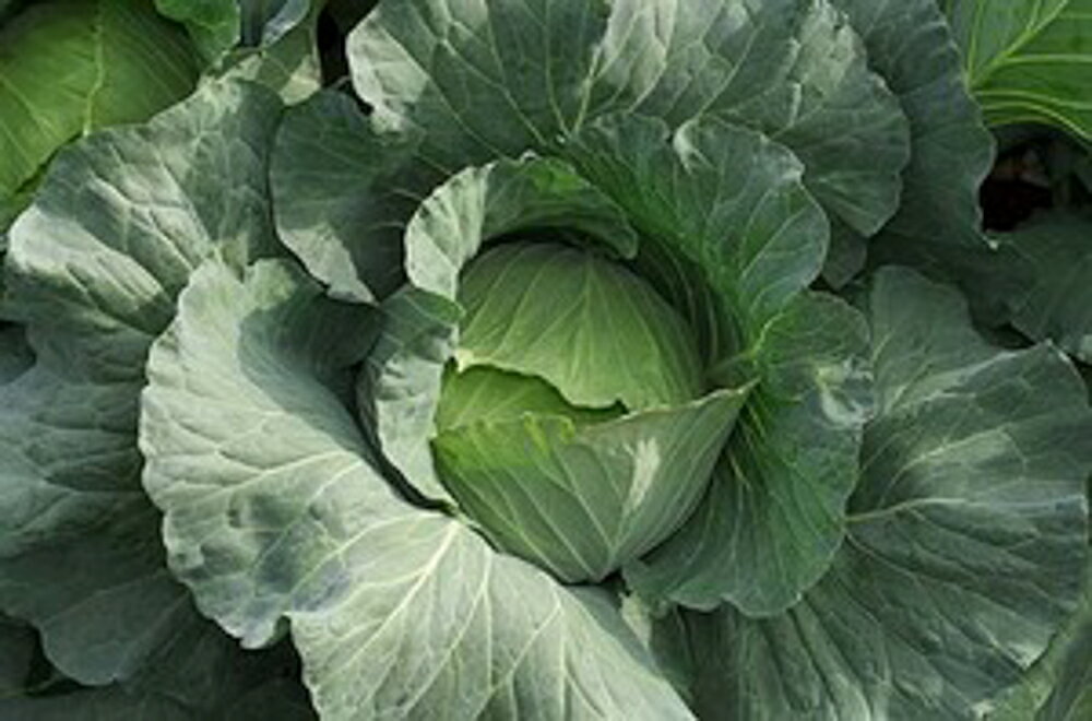 �ڿ���EX ���� 5000γ�ʥ�����L�� ����٥� �䥨���� ��Ȭ������ �� ���� ���ۡ͡��̾�5�� 5�ΤĤ����ϥݥ����10���оݳ����ʥݥ����3�ܸ��꾦�ʡ�