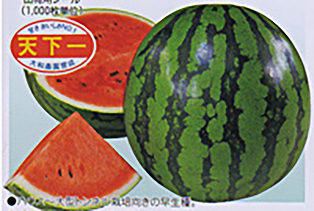 Other - 天下一 200粒 スイカ すいか 西瓜【大和農園 種 たね タネ】【通常5倍 5のつく日はポイント10倍】