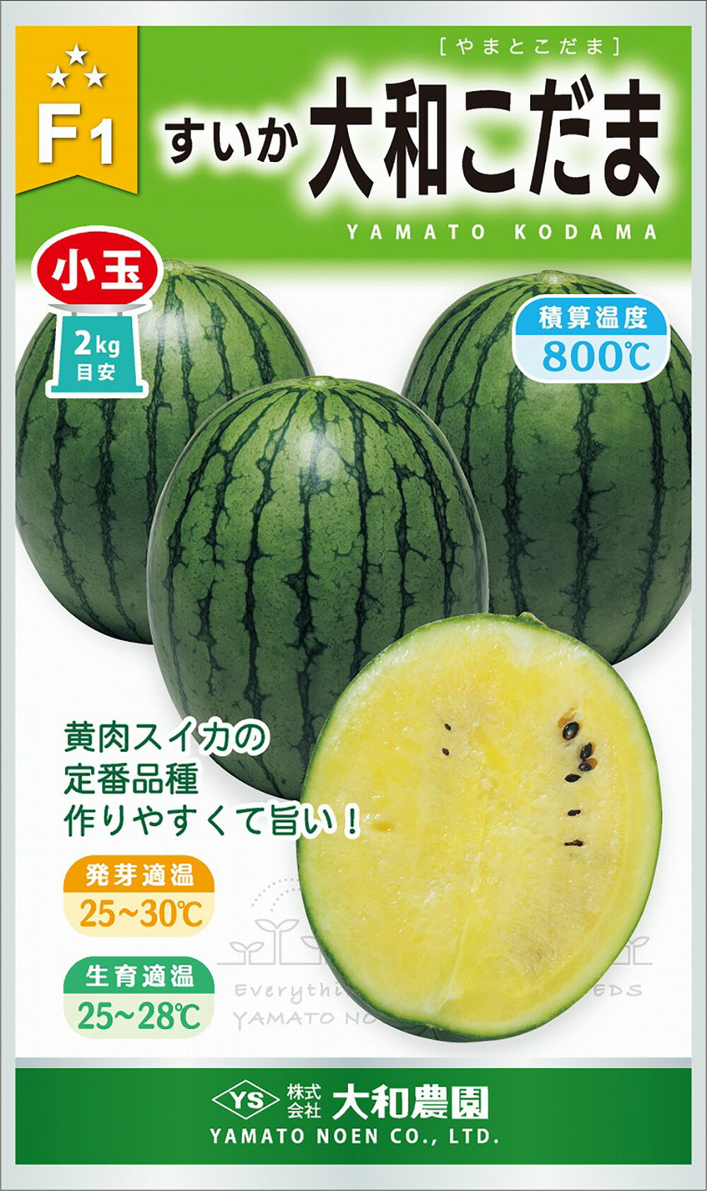 樂天商城 - 大和こだま 200粒 スイカ すいか 西瓜【大和農園 種 たね タネ】【通常5倍 5のつく日はポイント10倍】
