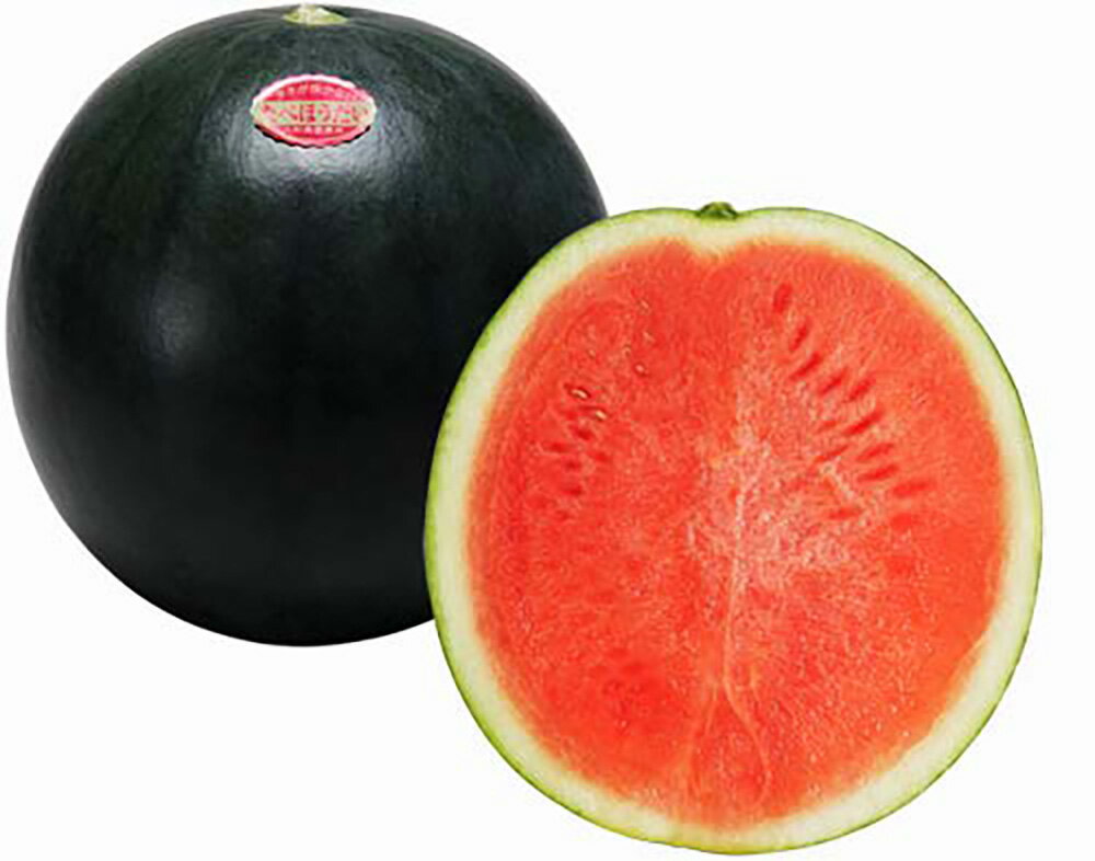 樂天商城 - 3xたべほうだい黒王子 100粒 スイカ すいか 西瓜【大和農園 種 たね タネ】【通常5倍 5のつく日はポイント10倍】