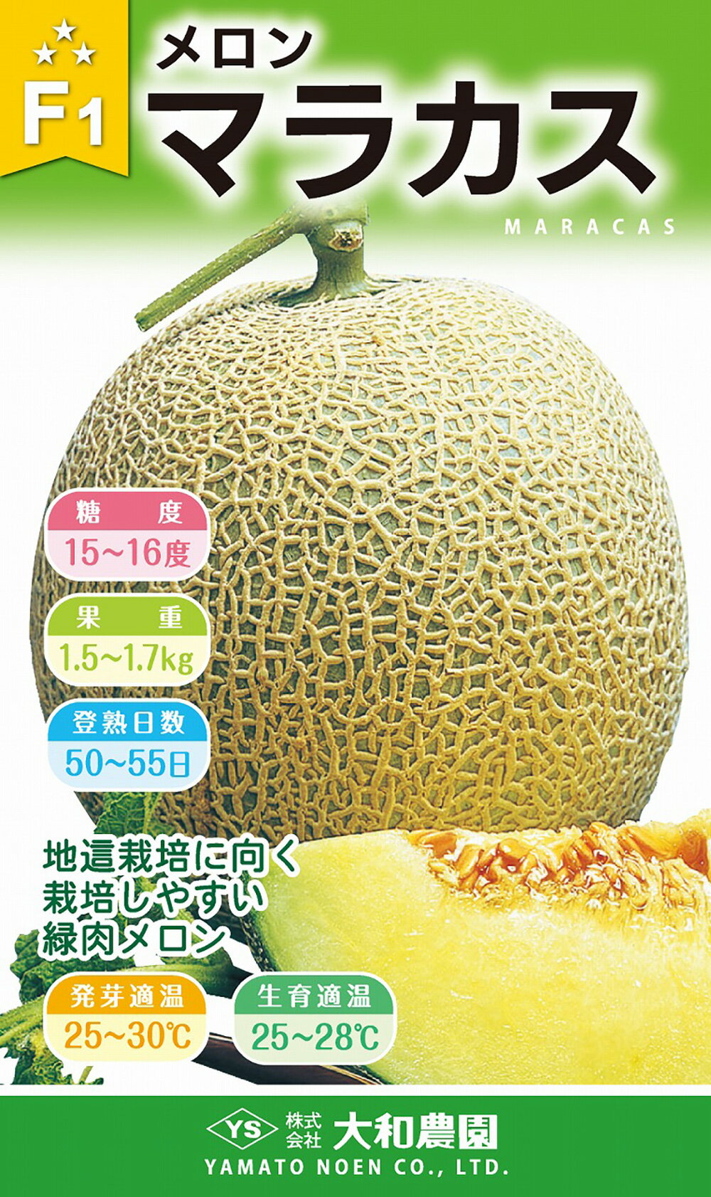 ネットが美しく早生性の 高品質緑肉メロン