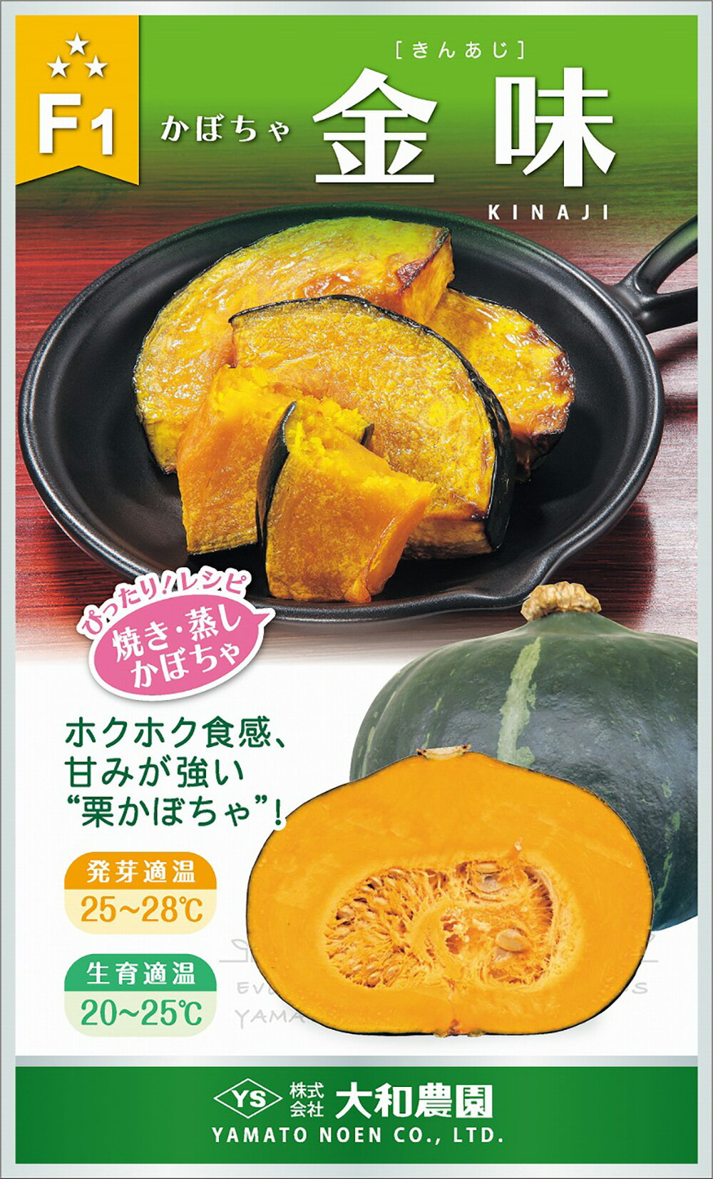 金味 500粒 南瓜 カボチャ かぼちゃ【大和農園 種 たね タネ】【通常5倍 5のつく日はポイント10倍】